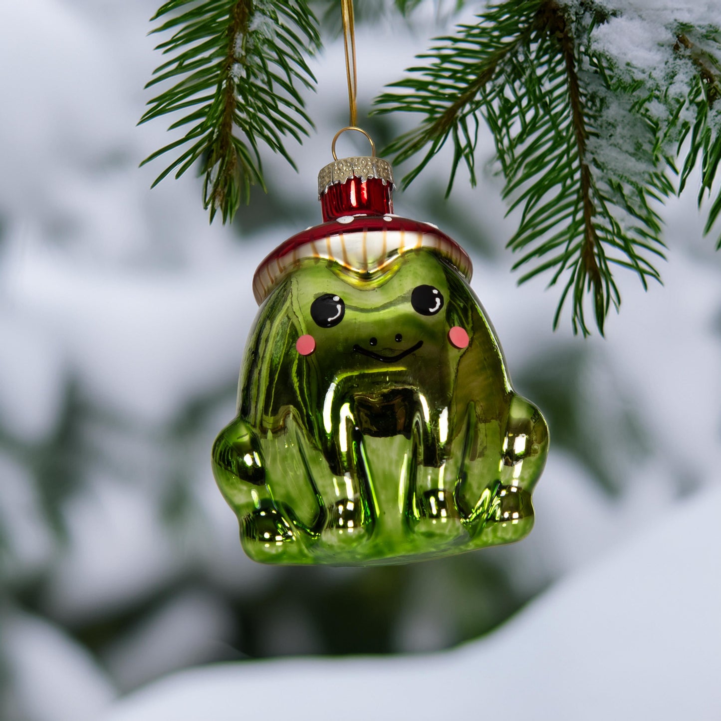 Frosch mit gepunkteter Mütze