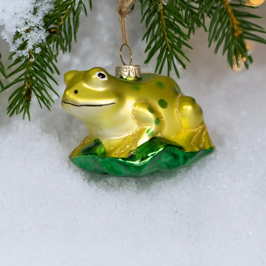 Frosch auf Blatt